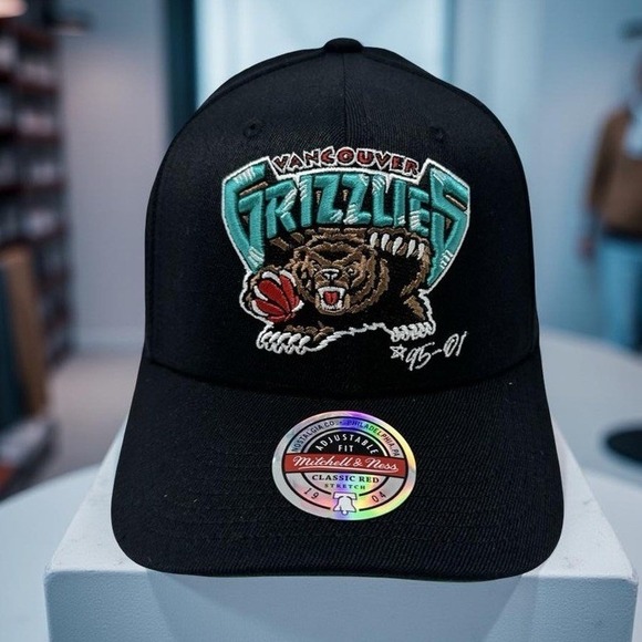 Mitchell Ness Vancouver Grizzlies Hardwood Classic Timeline Snapback Hat Cap NWT